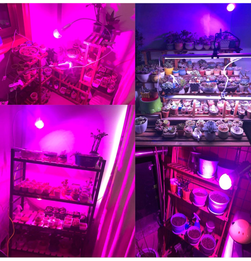 Grow LED Bec pentru plante de interior cu spectru complet E27 LED PhytoLamp Lampă UV 220V pentru lumină de creștere hidroponică pentru răsaduri