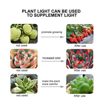 220V E27 Phyto Lamps Led Full Spectrum Grow Light 60leds Plant Growing Bulb for Greenhouse Hydroponics Grow Tent Box Fitolampy
