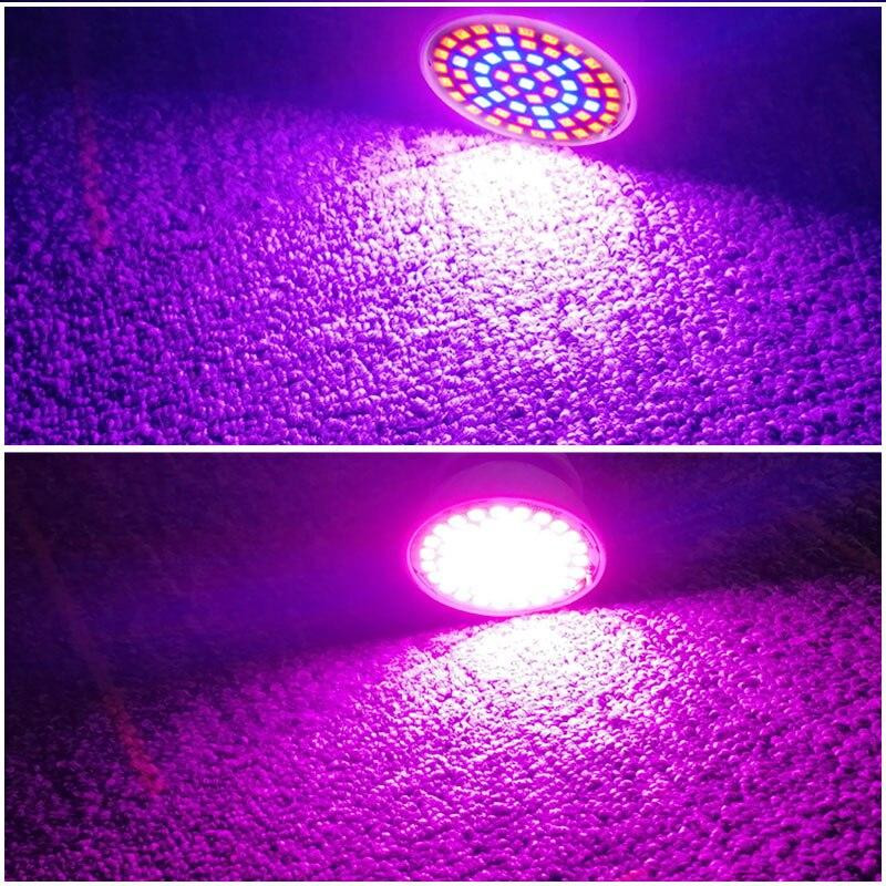 220V E27 fitolampas LED pilna spektra augšanas gaisma 60 LED augu audzēšanas spuldze siltumnīcas hidroponikas augšanas telts kastei Fitolampy