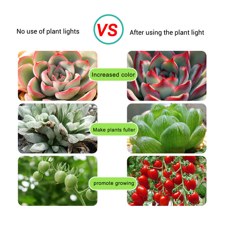 5V USB LED Grow Light teljes spektrumú LED szalag 2835 60LED/m Fito lámpa Asztali növénynövekedéshez Fény palánta virág növényi lámpa