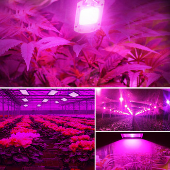 50W 70W 100W LED Grow Light Chip COB Full Spectrum for Plants Growing Indoor Grow Tent Box Welding Free AC 220V 110V Phyto Lamp