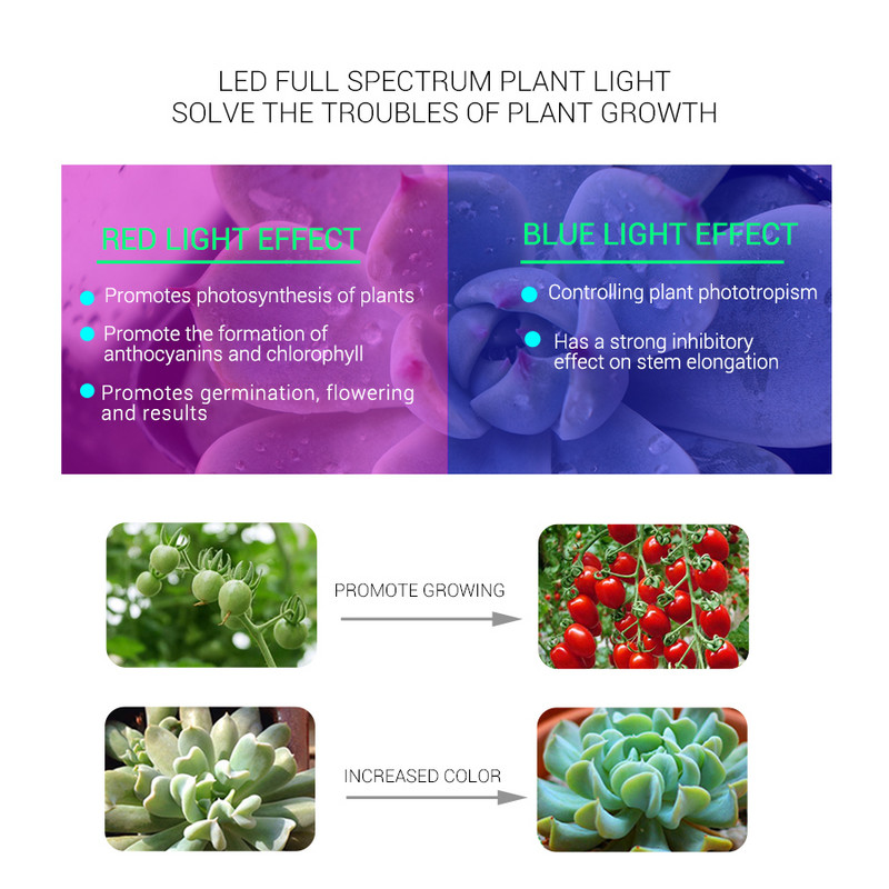 50 W 70 W 100 W LED augšanas gaisma COB mikroshēma, pilns spektrs augiem, kas aug iekštelpās, telts kastes metināšanai bez maiņstrāvas 220 V 110 V fitolampa