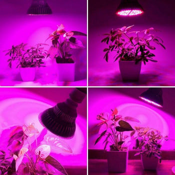 E27 Bulb Grower 200LED Grow Light Full Spectrum Hydroponics Grow Light Bulbs for Seedlings Flower Indoor Garden Grow Tent Lamp