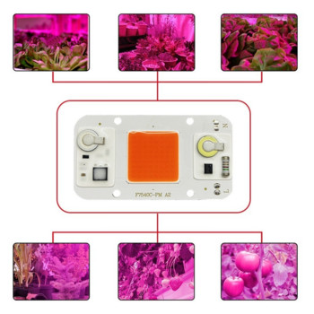 LED AC110V 220V COB CHIP 20W 30W 50W ψυχρό λευκό ζεστό λευκό φως πλήρους φάσματος δίοδος εκπομπής LED φως φυτού εσωτερικού χώρου