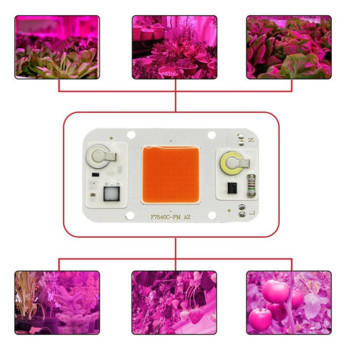 LED AC110V 220V COB CHIP 20W 30W 50W студено бяло топло бяла светлина диод, излъчващ пълен спектър LED матрична светлина за стайни растения