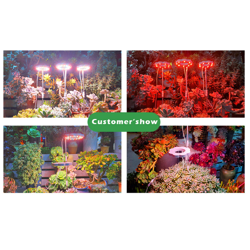 150 W Grow Light LM281B+ Chip Mājas augu audzēšanas lampa iekštelpu dārzkopības stādiem DC 5V Led Grow Light