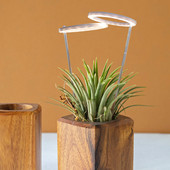 Lumină LED pentru creșterea plantelor, pentru interior, cu spectru complet, reglabilă USB, lumină pentru plante cu temporizator, seră, suculente, legume, flori