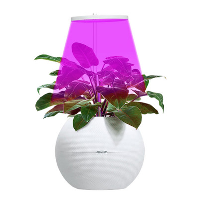 Lampă de creștere cu LED pentru plante Lampă de creștere a plantelor, pentru interior, rotundă, pentru plante, pentru suculente, cactus, mini bonsai și multe altele