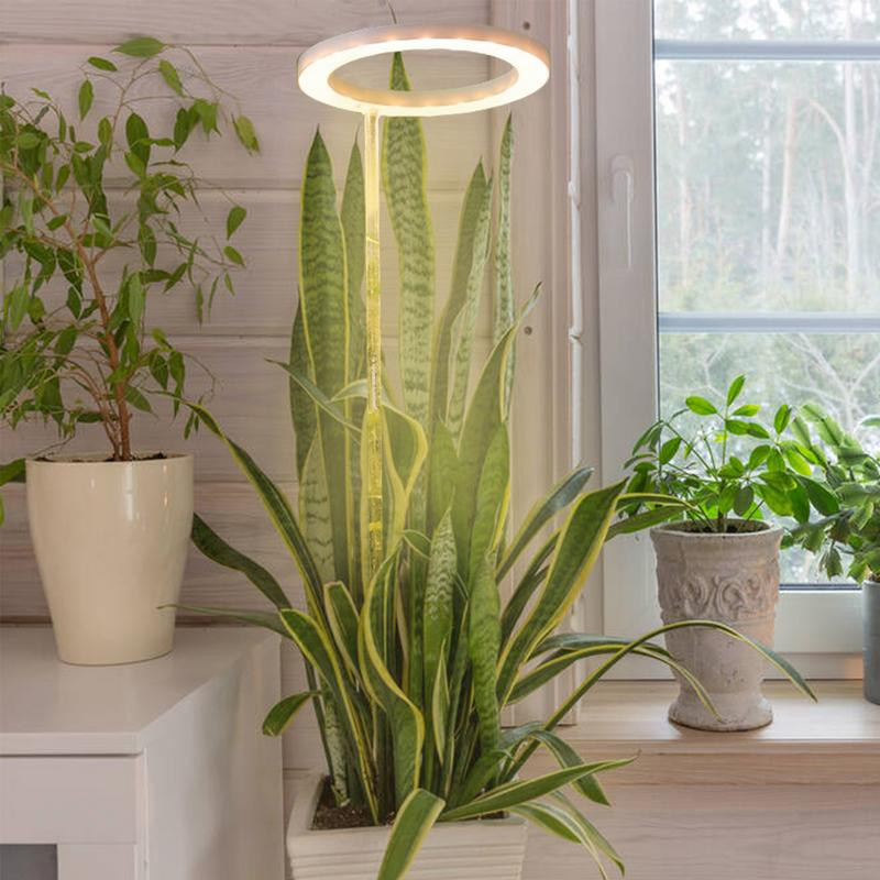 Lampă de creștere cu LED pentru plante Lampă de creștere a plantelor, pentru interior, rotundă, pentru plante, pentru suculente, cactus, mini bonsai și multe altele