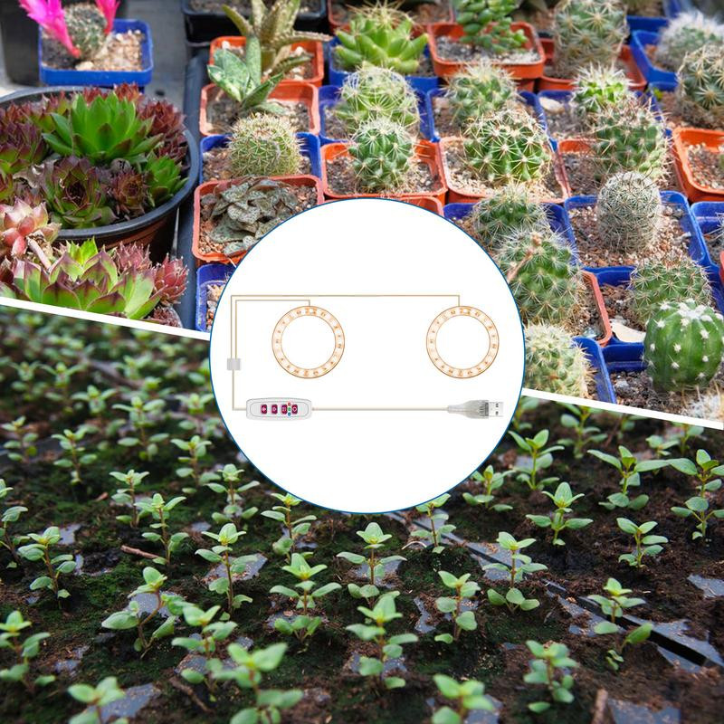 Lampă de creștere a plantelor Lampă cu spectru complet pentru plante Becuri de creștere a plantelor Luminozitate reglabilă de creștere pentru trandafiri de mărar verde de floarea soarelui