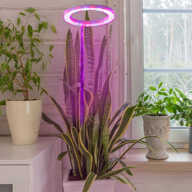 Lampă de creștere a plantelor Lampă cu spectru complet pentru plante Becuri de creștere a plantelor Luminozitate reglabilă de creștere pentru trandafiri de mărar verde de floarea soarelui