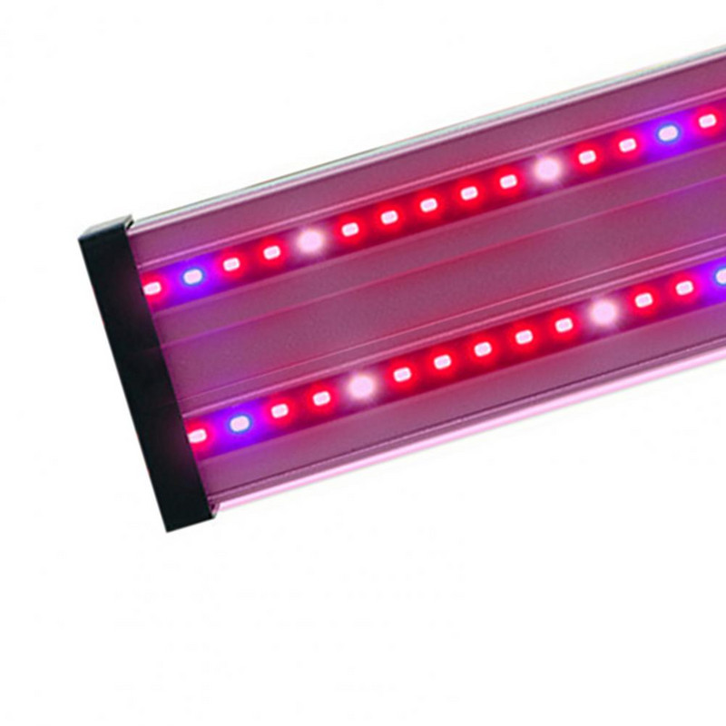Denné svetlo na rast rastlín, farebné výplňové svetlo, plne spektrálne LED rastové svetlo na hydroponické rastliny