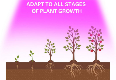 2 db szabályozható hegesztés nélkül, nem kell hegesztő LED teljes spektrumú növénynövekedési lámpa forgácsgyöngy 110V 30W