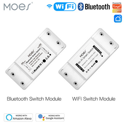 „WiFi“ / „Bluetooth“ išmanusis šviesos jungiklis Universalus pertraukiklio laikmatis „Smart Life APP“ belaidis nuotolinio valdymo pultas veikia su „Alexa Google Home“