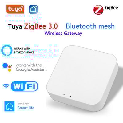ZigBee Gateway Tuya Hub Smart Life bezvadu tālvadības pults darbojas ar Google Home Alexa Echo Dot 4 Smart Home Control Intelligent Hub