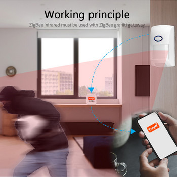 Συναγερμός αισθητήρα Wi-Fi Ανίχνευση ανθρώπινου σώματος Μίνι ανιχνευτές υπερύθρων Έξυπνος συναγερμός διαρρήκτη για εφαρμογή Smart Life Συμβατός αισθητήρας κίνησης