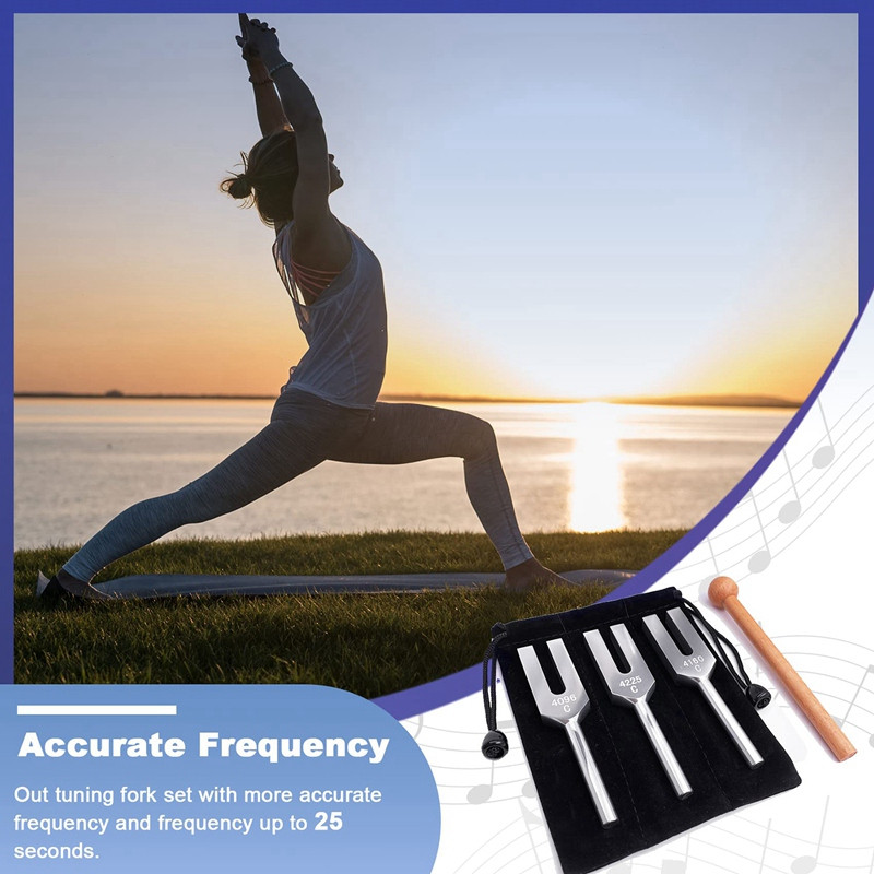 4096 Hz 4160 Hz 4225 Hz kamertonų rinkinys kamertonų rinkinys kamertonas su mediniais plaktukais ir medžiaginiu maišeliu Sidabrinis 1 stilius