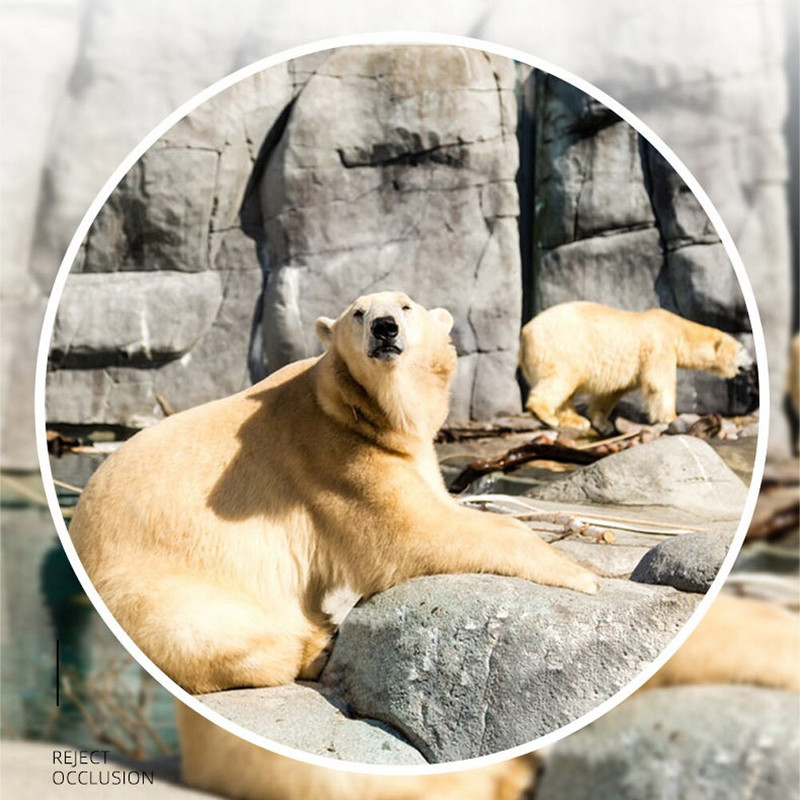 40x22 HD jaudīgs binoklis 2000 M liela attāluma saliekams mini teleskops BAK4 FMC optika medībām āra kempingā.