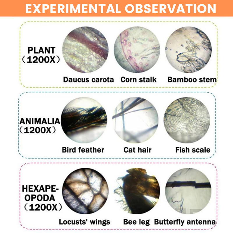 Laste bioloogilise mikroskoobi komplekt LED-mikroskoobi komplekt Lab 100X 400x 2000X Kodukoolis loodusteaduste hariv mänguasi lastele kingitus