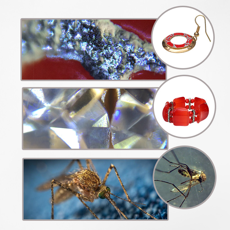 8-násobný vreckový monokulárny ďalekohľad, 30-násobný mini mikroskop s lupou, krytom telefónu, potiahnutým objektívom na pečiatku, pozorovanie vtákov