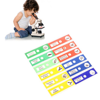 Βιολογικά δείγματα εντόμων για παιδιά με πλαστικές πλάκες μικροσκοπίου