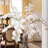 1PC Τεχνητά Λουλούδια Real Touch Artificial Moth Orchid Butterfly Orchid Peony Daisy For Home Table Wedding Festival Decoration