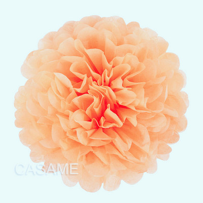 5 buc 4 6 8 10 12 inch Hârtie igienica Pom Pom Poms Hârtie pentru petrecere de nuntă Pompon Flori pentru decorarea nunții Pompoane Aniversare Bebeluş