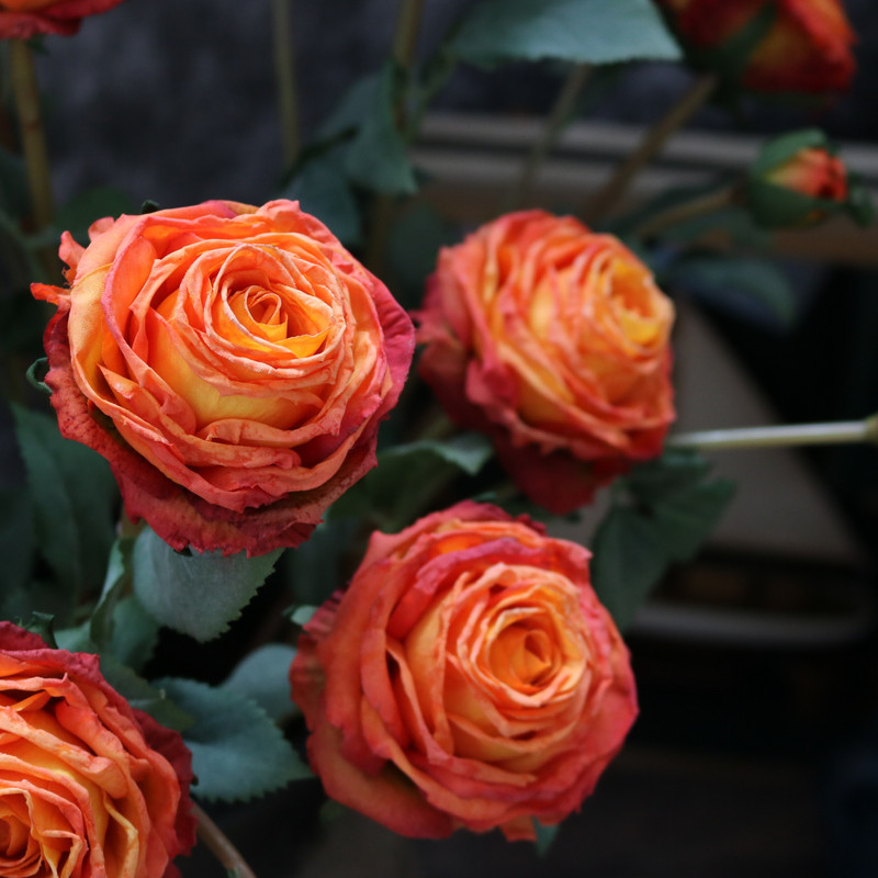 2021 jaunums 1 ķekars 2 mākslīgās Eiropas peonijas tējas roze kamēlija zīda mākslīgais zieds zieds DIY mājas dārza kāzu dekorācija