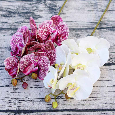 3D mala leptir orhideja 6 glavica/paket lažnog cvijeta Kućna draperija Zidna vjenčana dekoracija Božićni DIY umjetni Phalaenopsis