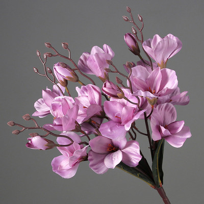5 Forks 20 Heads Simulation Bouquet Magnolia Διακόσμηση σπιτιού Flower Photography Props Flower Wedding