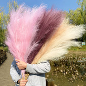 1 tk Kunstlikud pampad muruoksad Lilled Vaas Kaunistused Võltstaimed Pulmakaare sein Jõulude kodukaunistus Kunstlik pilliroolill