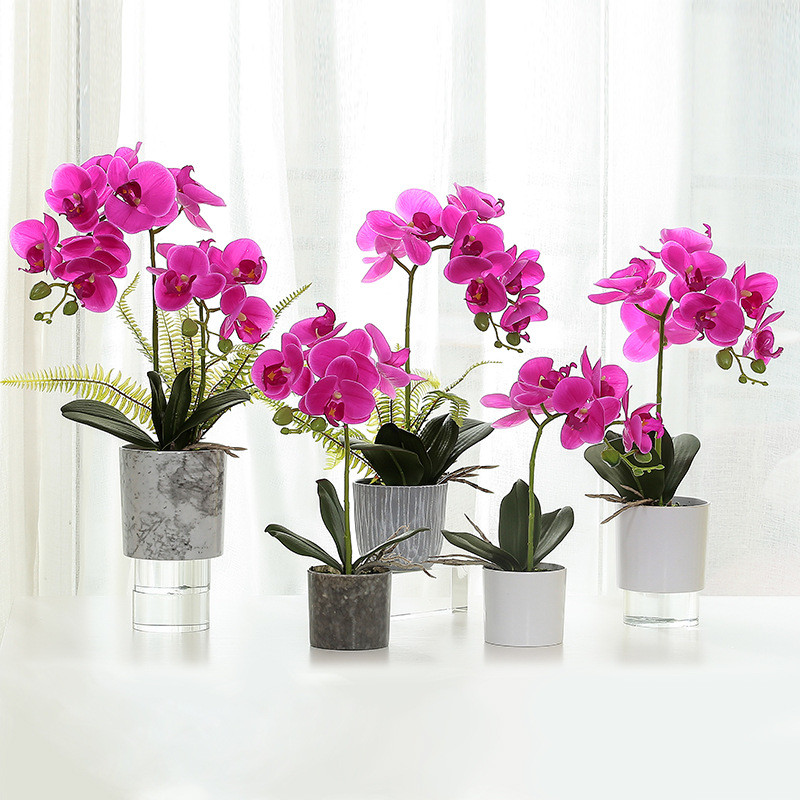 1db Mesterséges Növények Real Touch Phalaenopsis Leaf Dekoratív Virágok Barkácsolás Segédanyag Virág Dekoráció Orchidea Levelek