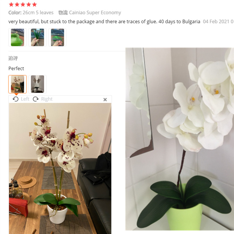 1db Mesterséges Növények Real Touch Phalaenopsis Leaf Dekoratív Virágok Barkácsolás Segédanyag Virág Dekoráció Orchidea Levelek