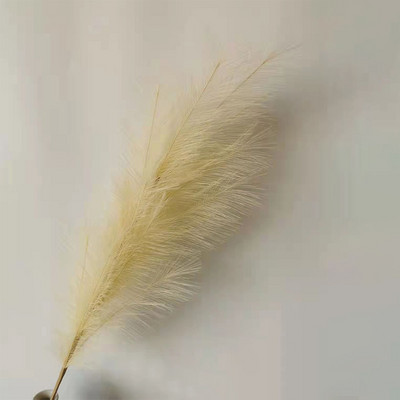 100 cm kunstlik pampa muru kõrge kohev kunstlik pampa muru pilliroog pulmadeks Kodu Boho Decor Magamistoa lauakaunistused Lilled