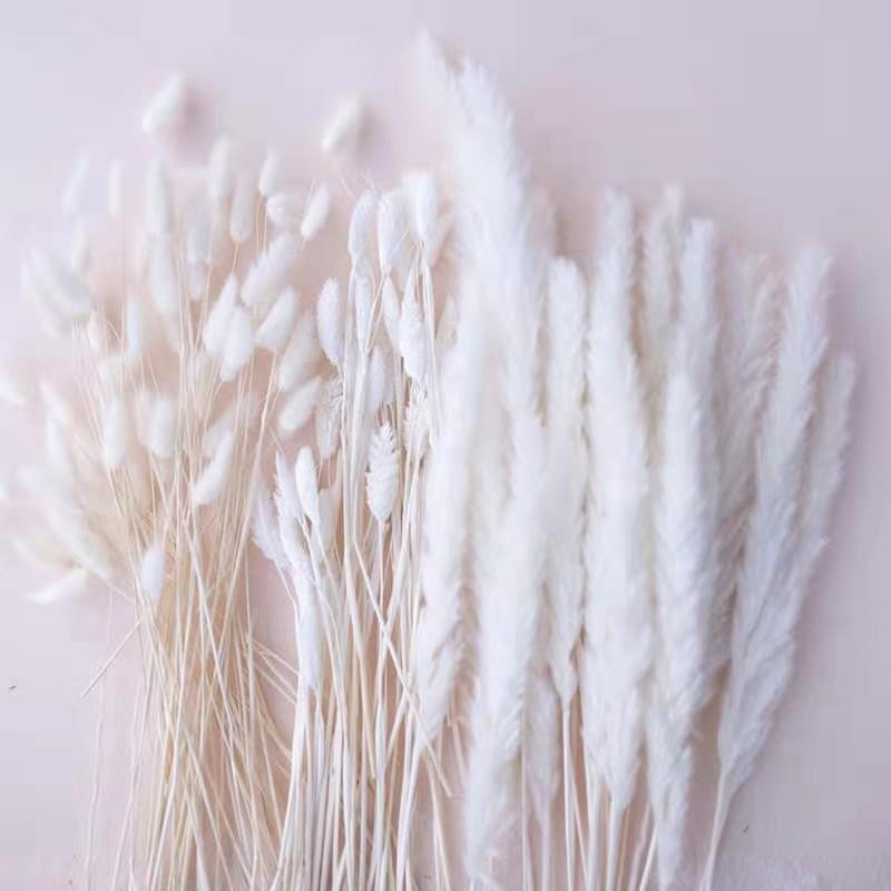 Αποξηραμένα λουλούδια Λευκό γρασίδι Pampas Μαύρο γρασίδι με ουρά κουνελιού Τεχνητό μπουκέτο Fleur Boho Nordic Style Διακόσμηση για το πάρτι