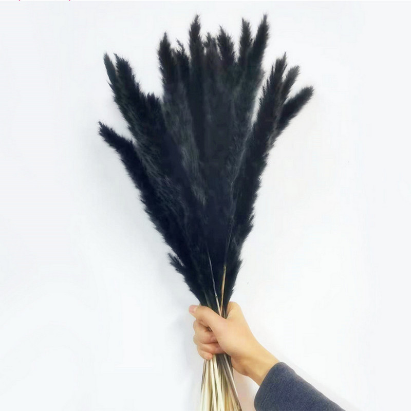 Αποξηραμένα λουλούδια Λευκό γρασίδι Pampas Μαύρο γρασίδι με ουρά κουνελιού Τεχνητό μπουκέτο Fleur Boho Nordic Style Διακόσμηση για το πάρτι