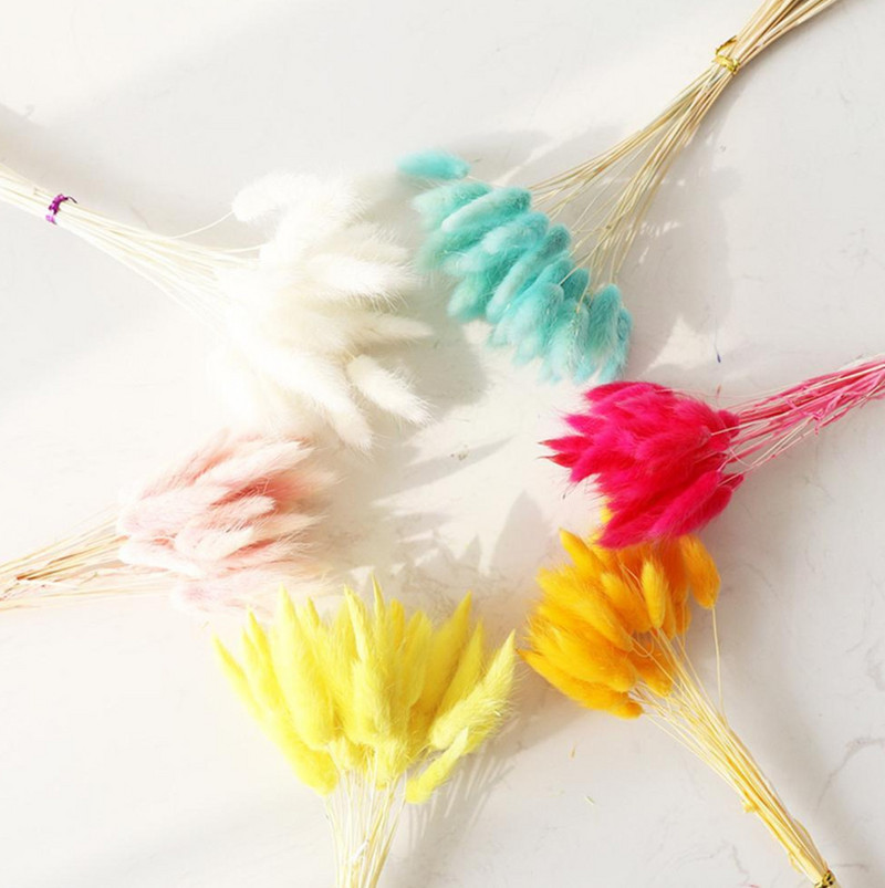 Αποξηραμένα λουλούδια Λευκό γρασίδι Pampas Μαύρο γρασίδι με ουρά κουνελιού Τεχνητό μπουκέτο Fleur Boho Nordic Style Διακόσμηση για το πάρτι