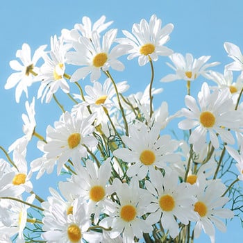 5 глави Бели маргаритки Изкуствени цветя Букет с дълги клони Семейно парти Сватбена украса Направи си сам Булчинско копринено изкуствено цвете