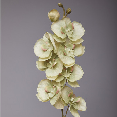 8 galvu mākslīgais tauriņš orhidejas zīda zieds 68 cm viltus falenopsis kāzu mājas dekorēšanai mākslīgie ziedi