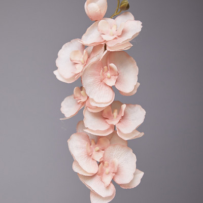 8 galvu mākslīgais tauriņš orhidejas zīda zieds 68 cm viltus falenopsis kāzu mājas dekorēšanai mākslīgie ziedi