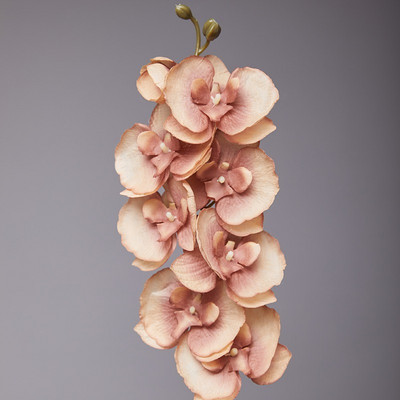 8 galvu mākslīgais tauriņš orhidejas zīda zieds 68 cm viltus falenopsis kāzu mājas dekorēšanai mākslīgie ziedi