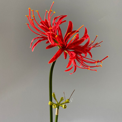 Skaisti Higan Flower zars zīda ziedi mākslīgie kāzu mājas dekori flores mākslīgie fotografēšana