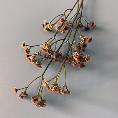 62CM/tk 81 Kvaliteetsed väikesed lilled Sügisvärv Feel Pehme Kumm Gypsophila Kuiv Lill 6 Värviline PVC Kimp Kodukaunistus