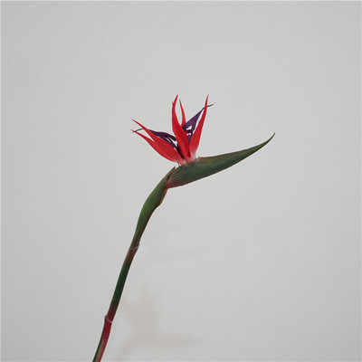 Real Touch Streliteela kunstlillepidu Pulmakaunistused Lillevarud Kodukaunistused Fotorekvisiidid Paradiisilinnud