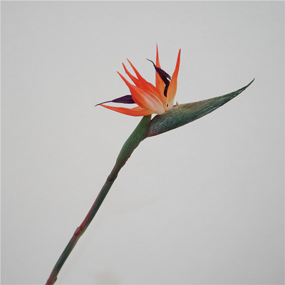 Real Touch Streliteela kunstlillepidu Pulmakaunistused Lillevarud Kodukaunistused Fotorekvisiidid Paradiisilinnud