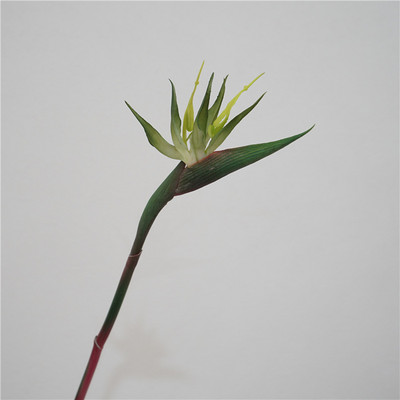 Real Touch Streliteela kunstlillepidu Pulmakaunistused Lillevarud Kodukaunistused Fotorekvisiidid Paradiisilinnud