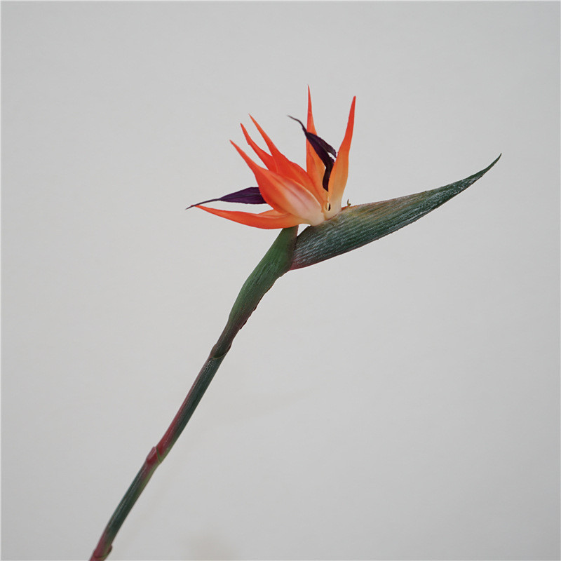 Real Touch Streliteela kunstlillepidu Pulmakaunistused Lillevarud Kodukaunistused Fotorekvisiidid Paradiisilinnud