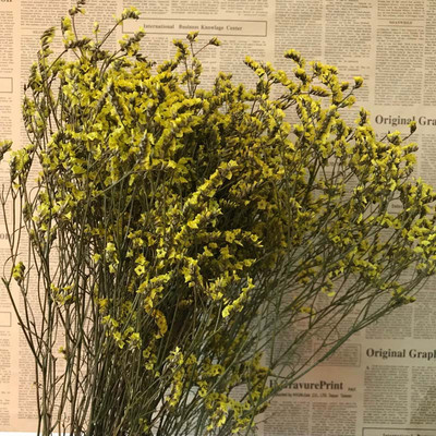 35~42CM/Aproximativ 35g Buchet de flori de iarbă de cristal conservată, naturală, uscată, flori pentru totdeauna uita-mă, iarbă iubitoare pentru decorarea interioară