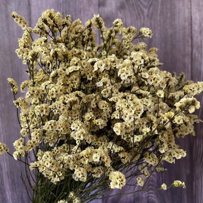 35~42CM/Aproximativ 35g Buchet de flori de iarbă de cristal conservată, naturală, uscată, flori pentru totdeauna uita-mă, iarbă iubitoare pentru decorarea interioară