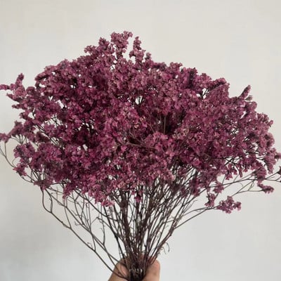 35~42CM/Aproximativ 35g Buchet de flori de iarbă de cristal conservată, naturală, uscată, flori pentru totdeauna uita-mă, iarbă iubitoare pentru decorarea interioară